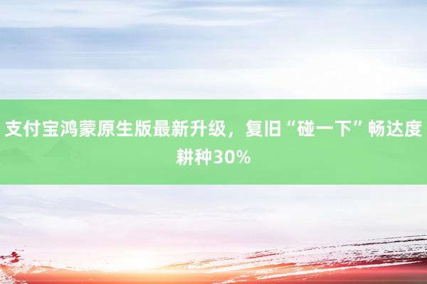 支付宝鸿蒙原生版最新升级，复旧“碰一下”畅达度耕种30%