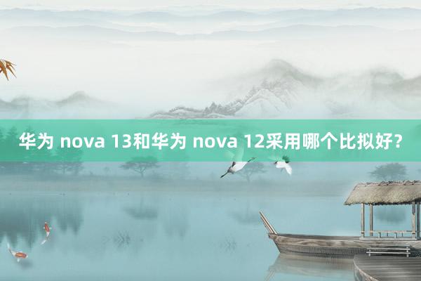 华为 nova 13和华为 nova 12采用哪个比拟好？