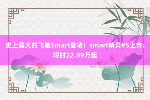 史上最大的飞驰Smart登场！smart精灵#5上市：限时22.99万起