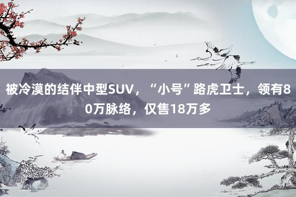 被冷漠的结伴中型SUV，“小号”路虎卫士，领有80万脉络，仅售18万多