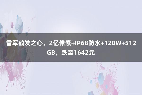 雷军鹤发之心，2亿像素+IP68防水+120W+512GB，跌至1642元