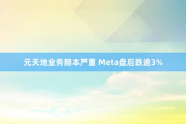 元天地业务赔本严重 Meta盘后跌逾3%