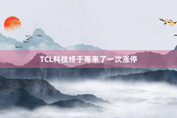 TCL科技终于等来了一次涨停