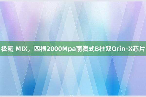 极氪 MIX，四根2000Mpa荫藏式B柱双Orin-X芯片