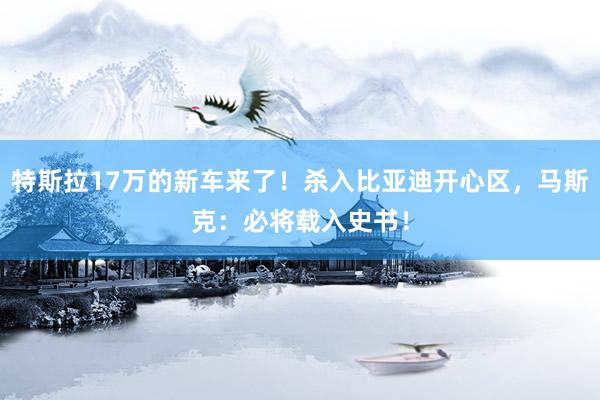 特斯拉17万的新车来了！杀入比亚迪开心区，马斯克：必将载入史书！