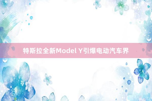 特斯拉全新Model Y引爆电动汽车界