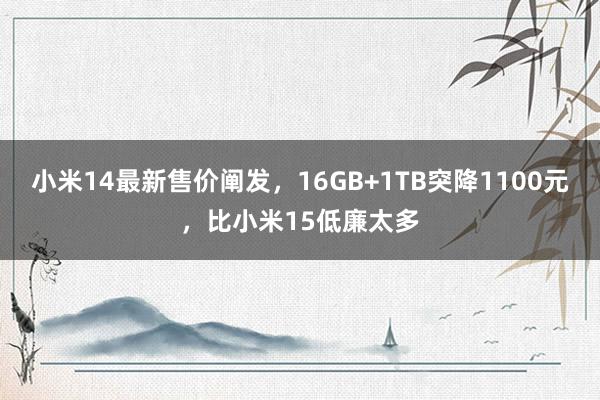 小米14最新售价阐发，16GB+1TB突降1100元，比小米15低廉太多