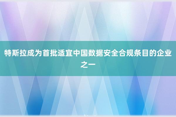 特斯拉成为首批适宜中国数据安全合规条目的企业之一