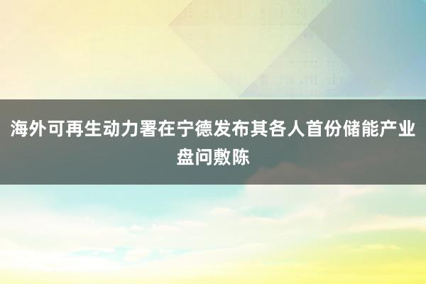 海外可再生动力署在宁德发布其各人首份储能产业盘问敷陈