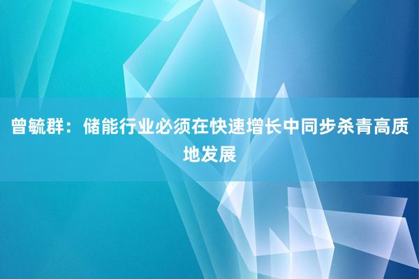 曾毓群：储能行业必须在快速增长中同步杀青高质地发展