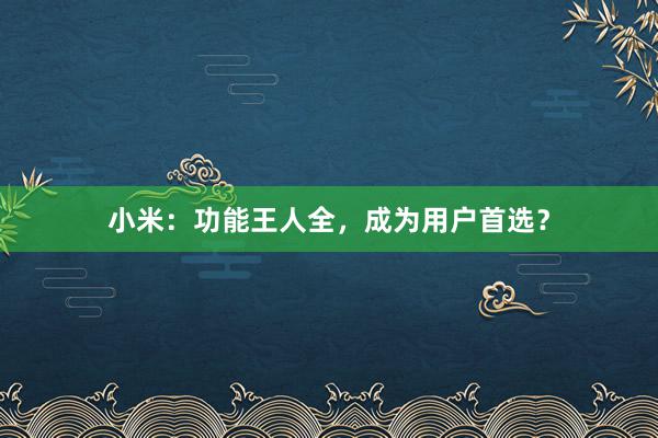 小米：功能王人全，成为用户首选？