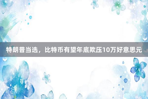 特朗普当选，比特币有望年底欺压10万好意思元