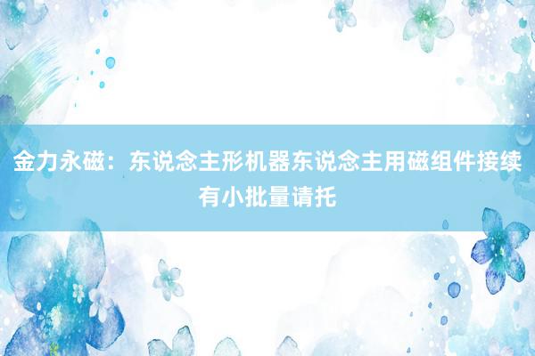 金力永磁：东说念主形机器东说念主用磁组件接续有小批量请托