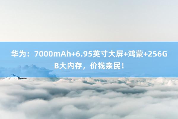 华为：7000mAh+6.95英寸大屏+鸿蒙+256GB大内存，价钱亲民！