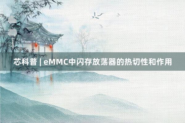 芯科普 | eMMC中闪存放荡器的热切性和作用