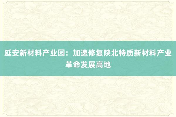 延安新材料产业园：加速修复陕北特质新材料产业革命发展高地