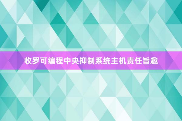 收罗可编程中央抑制系统主机责任旨趣