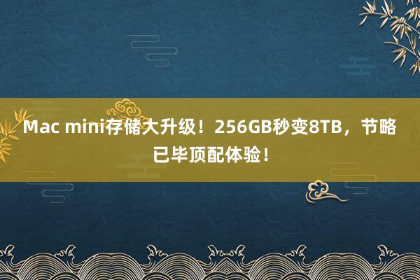 Mac mini存储大升级！256GB秒变8TB，节略已毕顶配体验！