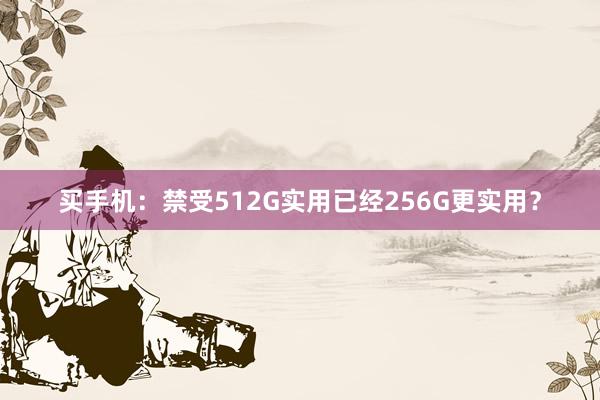 买手机：禁受512G实用已经256G更实用？