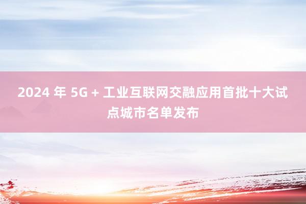 2024 年 5G + 工业互联网交融应用首批十大试点城市名单发布