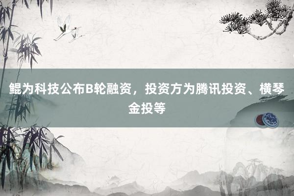 鲲为科技公布B轮融资，投资方为腾讯投资、横琴金投等