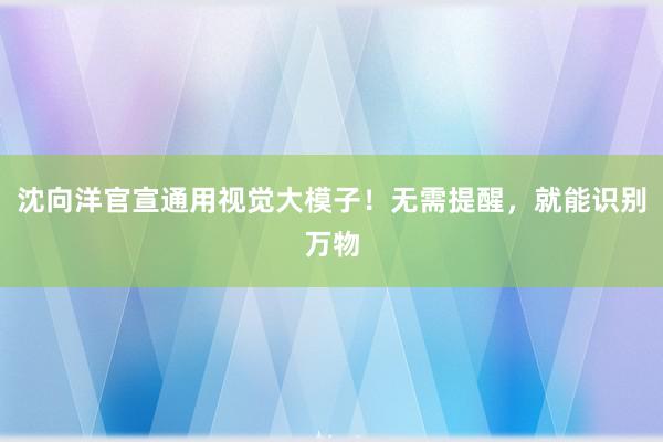 沈向洋官宣通用视觉大模子！无需提醒，就能识别万物