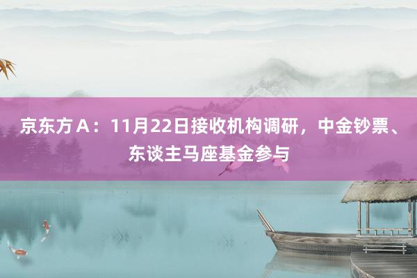 京东方Ａ：11月22日接收机构调研，中金钞票、东谈主马座基金参与