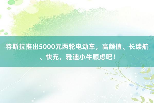 特斯拉推出5000元两轮电动车，高颜值、长续航、快充，雅迪小牛顾虑吧！