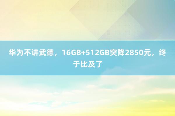 华为不讲武德，16GB+512GB突降2850元，终于比及了