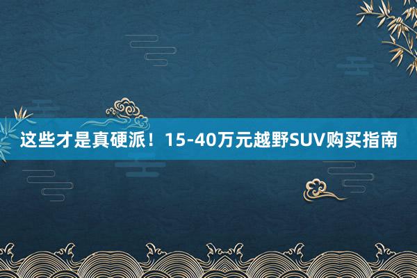 这些才是真硬派！15-40万元越野SUV购买指南