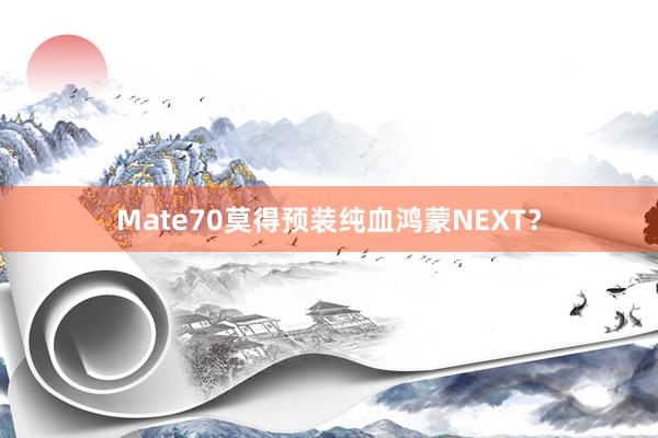 Mate70莫得预装纯血鸿蒙NEXT？