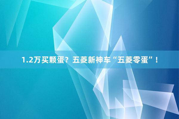 1.2万买颗蛋？五菱新神车“五菱零蛋”！