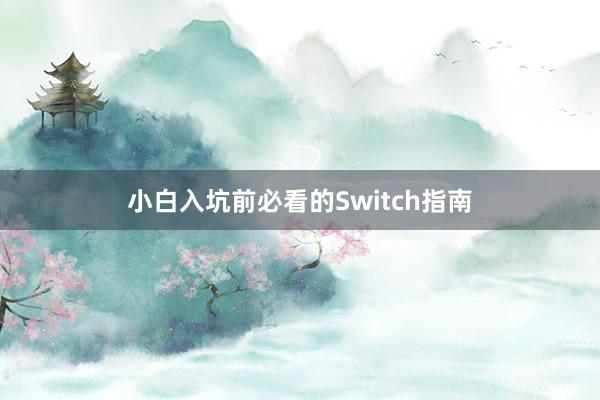 小白入坑前必看的Switch指南