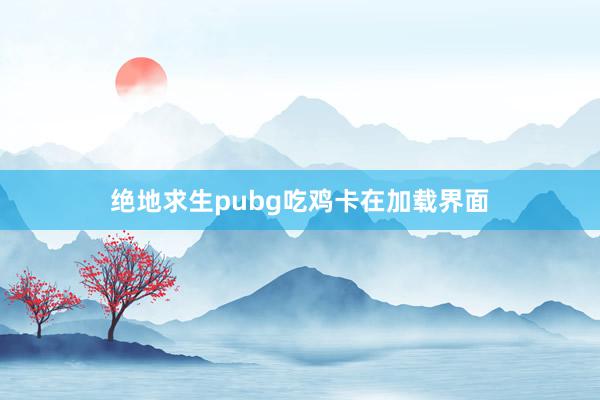 绝地求生pubg吃鸡卡在加载界面