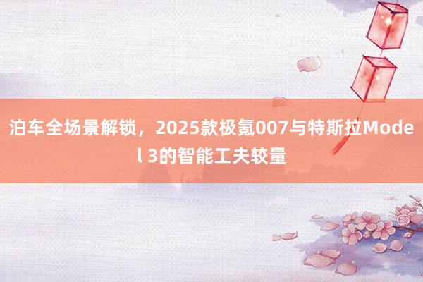 泊车全场景解锁，2025款极氪007与特斯拉Model 3的智能工夫较量