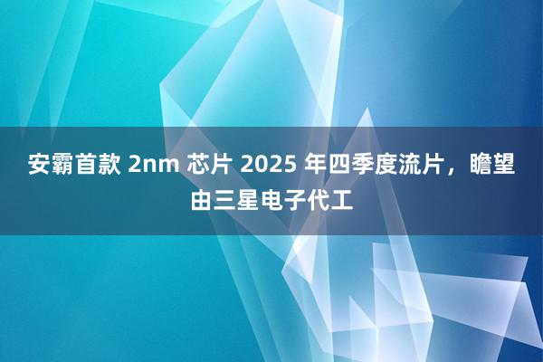 安霸首款 2nm 芯片 2025 年四季度流片，瞻望由三星电子代工