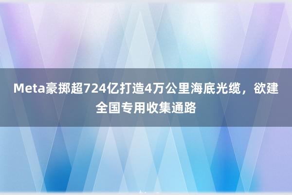 Meta豪掷超724亿打造4万公里海底光缆，欲建全国专用收集通路