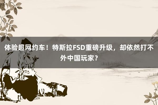 体验超网约车！特斯拉FSD重磅升级，却依然打不外中国玩家？