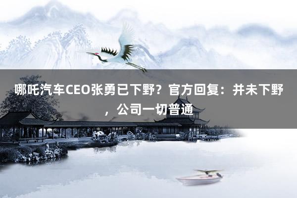 哪吒汽车CEO张勇已下野？官方回复：并未下野，公司一切普通