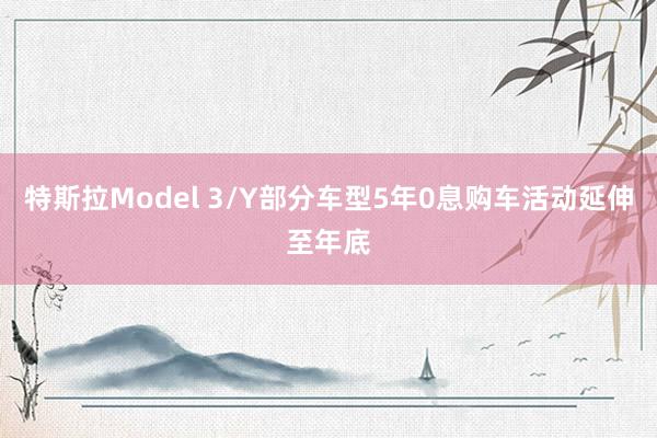 特斯拉Model 3/Y部分车型5年0息购车活动延伸至年底