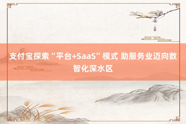 支付宝探索“平台+SaaS”模式 助服务业迈向数智化深水区