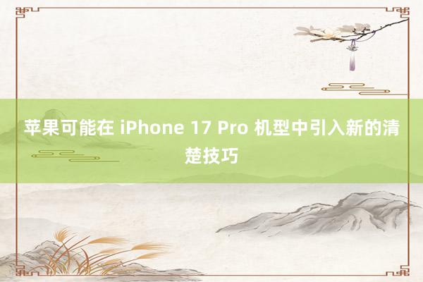 苹果可能在 iPhone 17 Pro 机型中引入新的清楚技巧