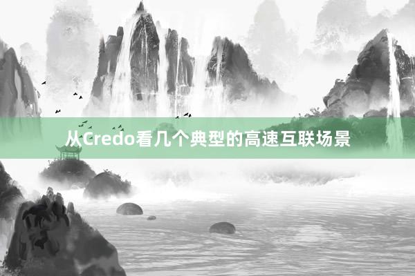 从Credo看几个典型的高速互联场景