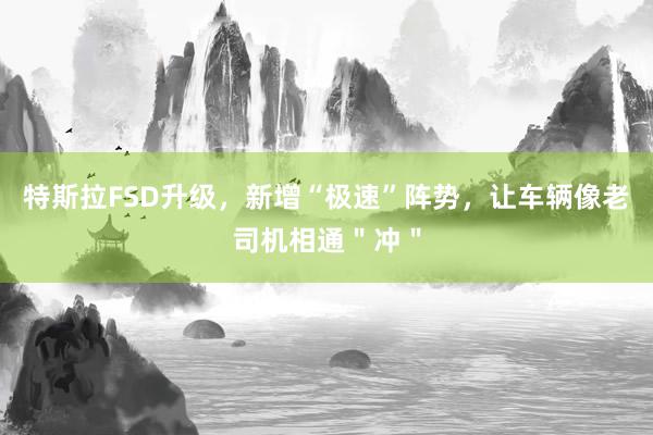 特斯拉FSD升级，新增“极速”阵势，让车辆像老司机相通＂冲＂