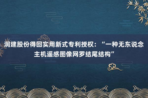 润建股份得回实用新式专利授权：“一种无东说念主机遥感图像网罗结尾结构”