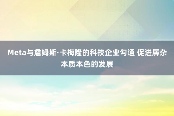 Meta与詹姆斯·卡梅隆的科技企业勾通 促进羼杂本质本色的发展