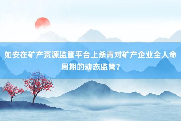 如安在矿产资源监管平台上杀青对矿产企业全人命周期的动态监管？