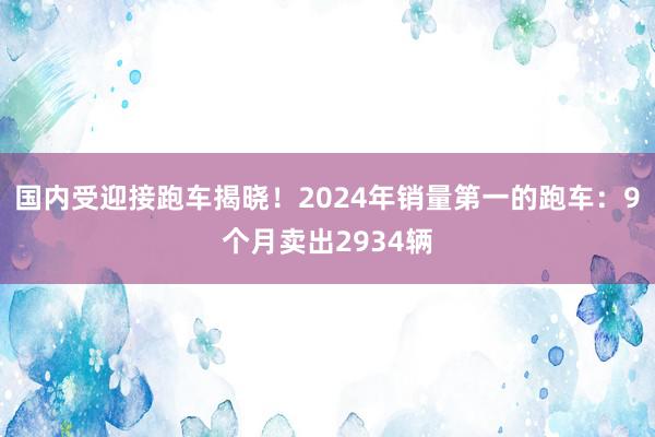 国内受迎接跑车揭晓！2024年销量第一的跑车：9个月卖出2934辆