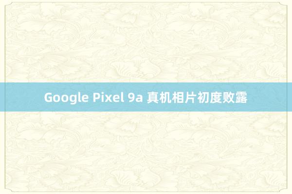 Google Pixel 9a 真机相片初度败露