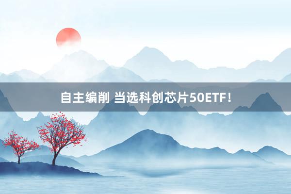 自主编削 当选科创芯片50ETF！